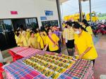 โครงการพัฒนาศักยภาพคณะกรรมการสตรีตำบลม่วงงาม...